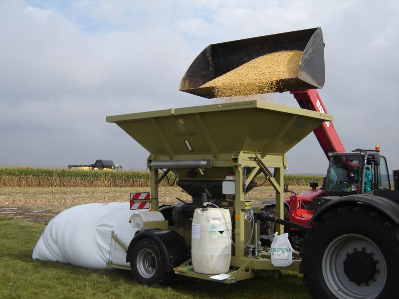 Feeding wet silaged grain makes for healthier cows
