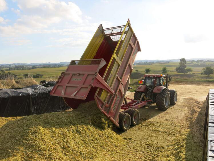 Tips for increasing forage harvester efficiency this season