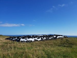 Silage Stack Covers