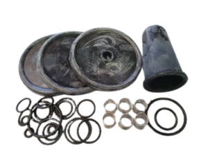 Bertolini POLY2180K.1 service kit for Poly 2180 spray pumps showing diaphragms, O-rings and valve springs